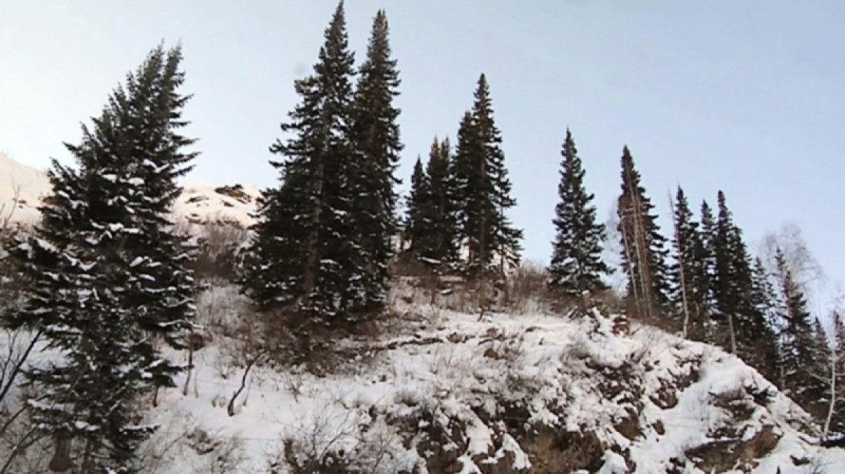 Иллюстративное, 24.kz