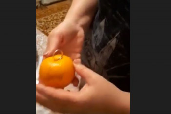 Золото в мандаринах, или Как сельская учительница устроила пранк