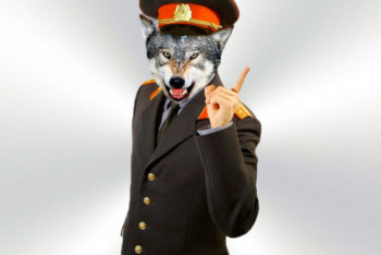 Майор полиции отстреливал лошадей и покрывал скотокрадов в Карагандинской области