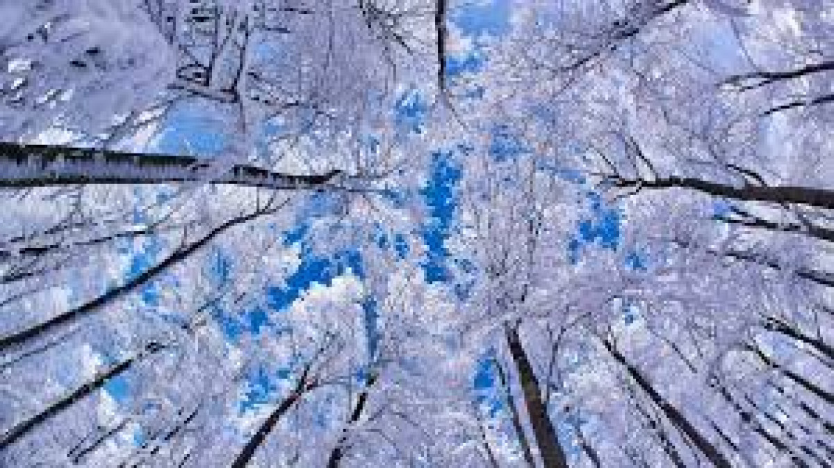 Ясную погоду прогнозируют синоптики в Казахстане