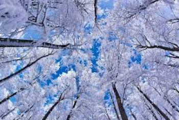 Фотография к новости: Ясную погоду прогнозируют синоптики в Казахстане