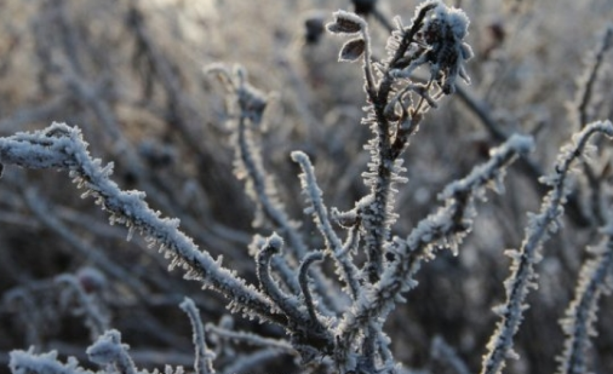 Иллюстративное: pavlodarnews.kz