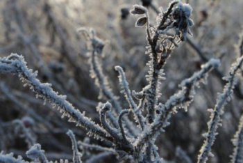 Фотография к новости: Потепление ожидается в Казахстане в ближайшие дни