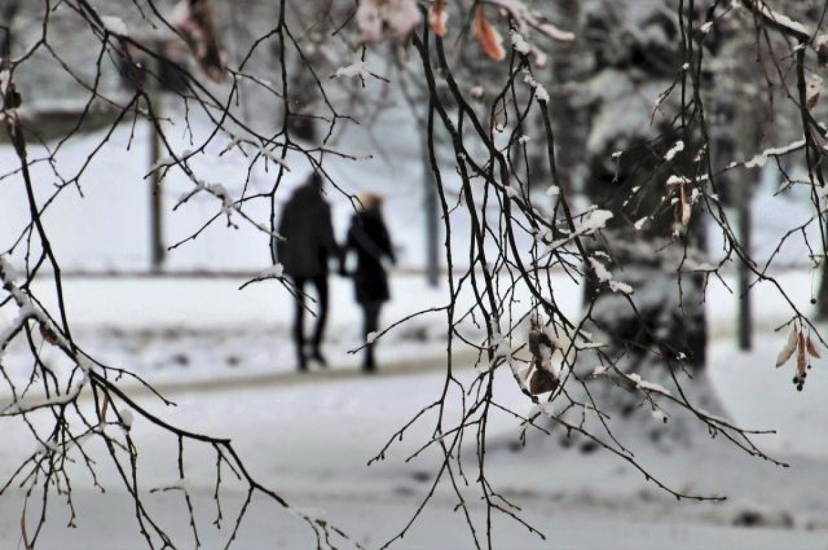 Какой будет февральская погода в Казахстане