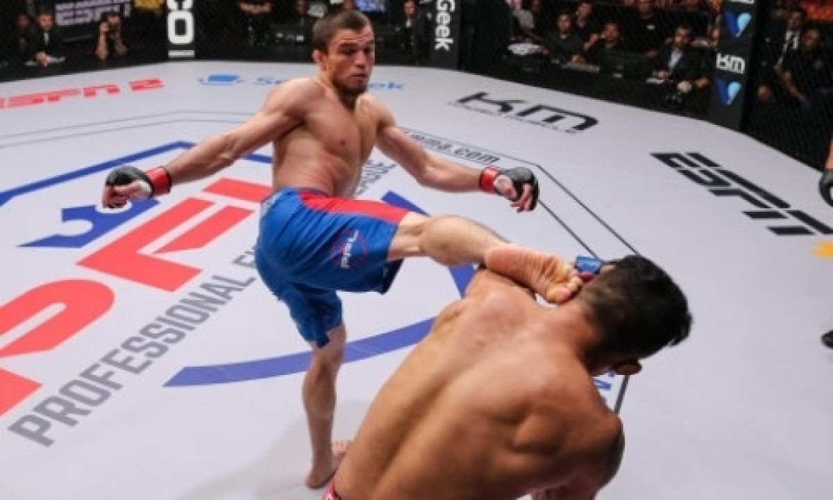 из открытых источников