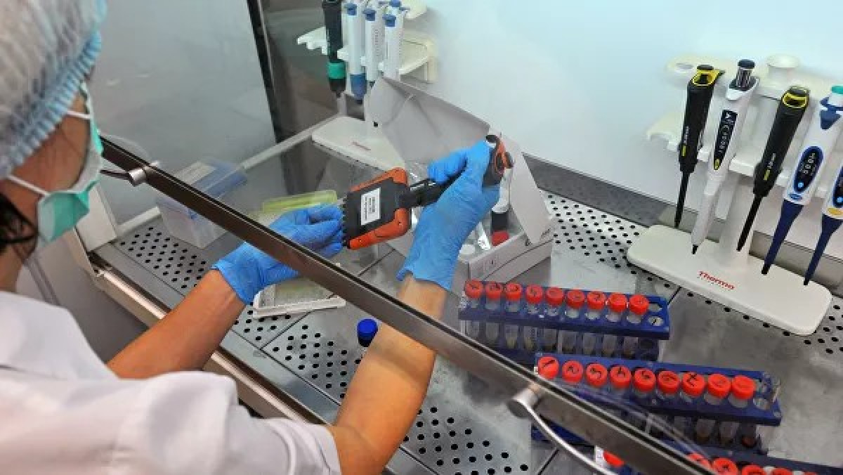 Экспресс-тест для выявления коронавируса разработали в Китае