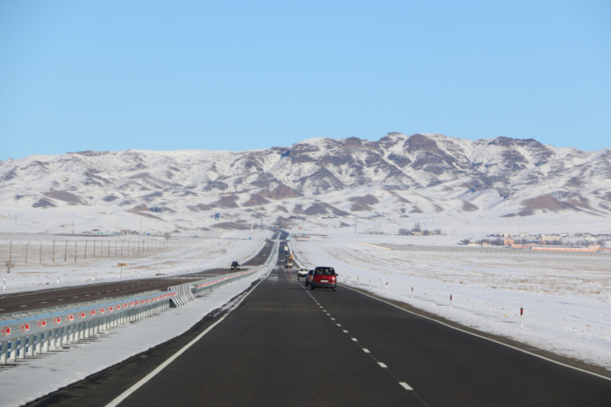 Пастуха с отарой и лошадью снесла автомашина в Жамбылской области