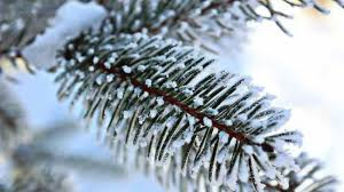 Погода без осадков ожидается в Казахстане 2 февраля