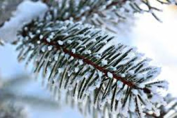 Фотография к новости: Погода без осадков ожидается в Казахстане 2 февраля