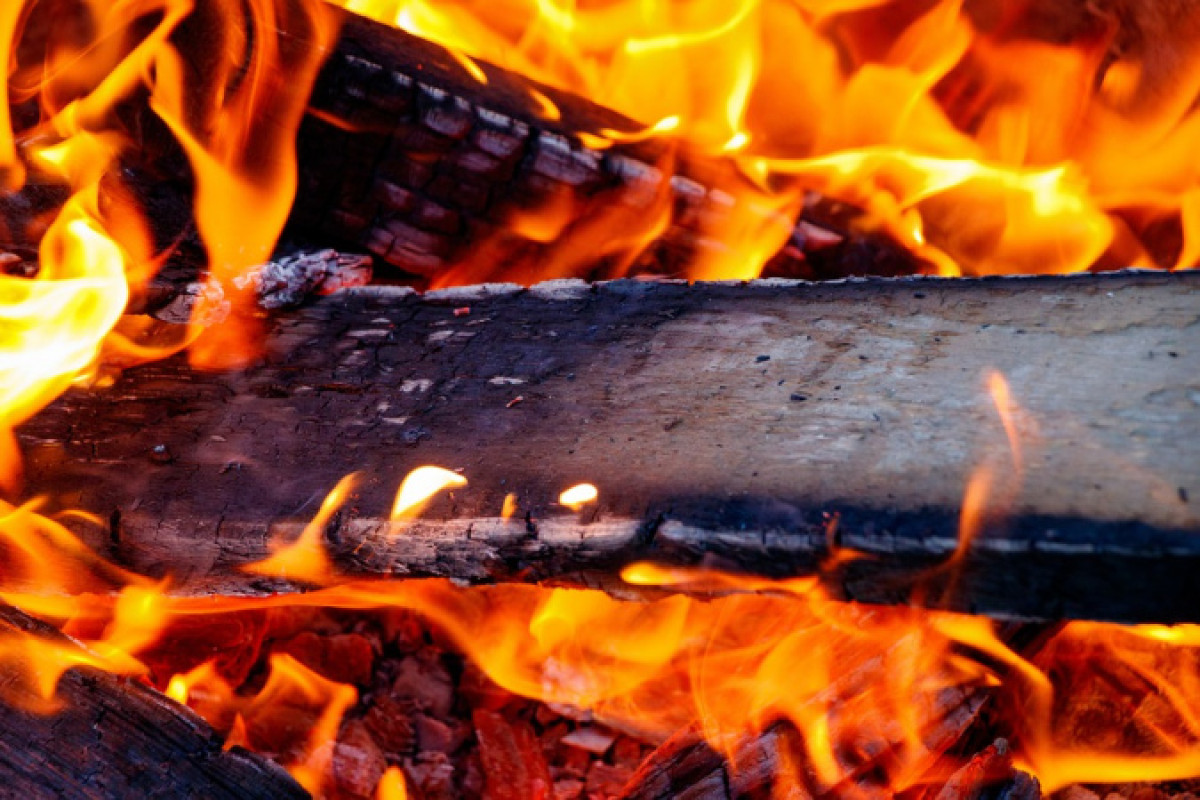 Иллюстративное: pixabay.com