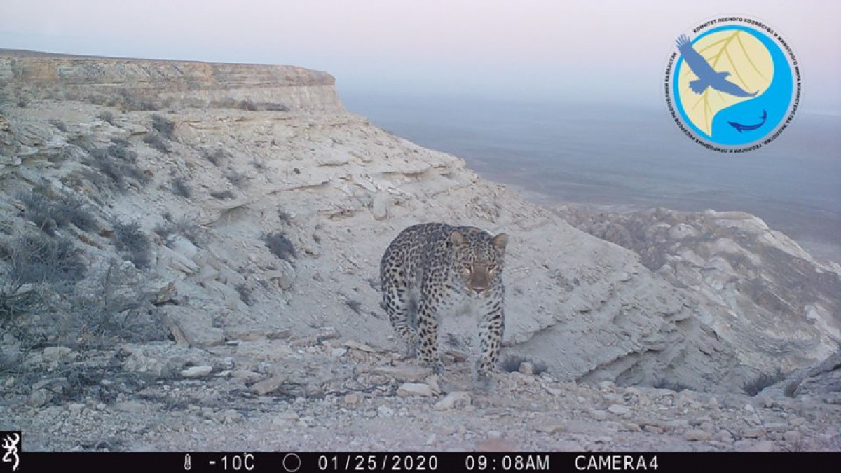 Facebook / Сакен Дилдахмет