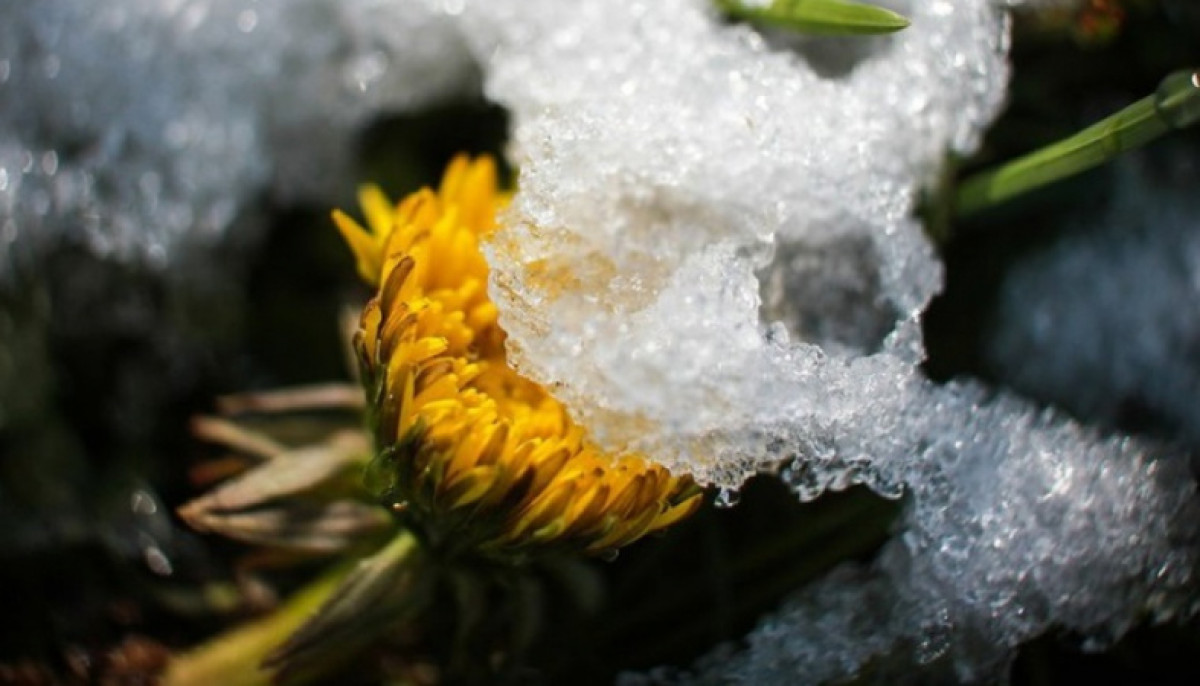 Иллюстративное: oko-planet.su  