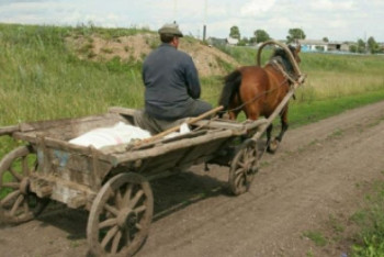 Фотография к новости: Школьник устроил ДТП с телегой: возбуждено уголовное дело