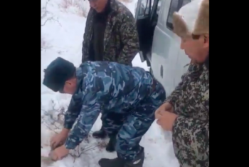 Фотография к новости: "Подбросили патроны". Видео работы инспекторов лесхоззащиты появилось в Сети