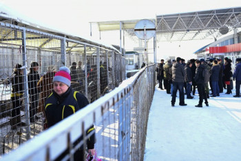 Фотография к новости: Слухи о закрытии кыргызско-казахстанского участка границы опровергли в погранслужбе КНБ РК