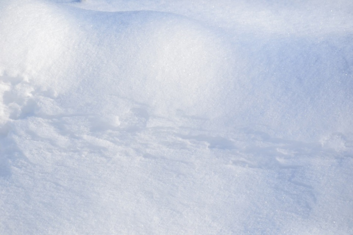 Иллюстративное: pixabay