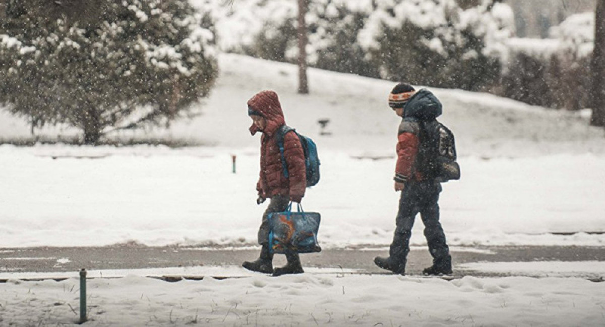 иллюстративное