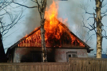 Фотография к новости: Семью с 22 детьми могут лишить сыновей после пожара в Алматинской области