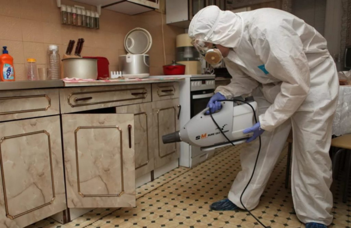 иллюстративное