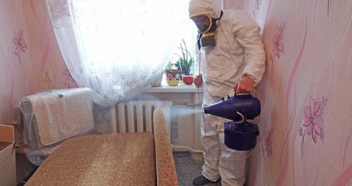 с сайта &quot;Муравьед&quot;