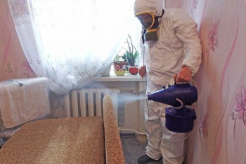 Фотография к новости: Борьба соседей с клопами обернулась госпитализацией семьи в Актау