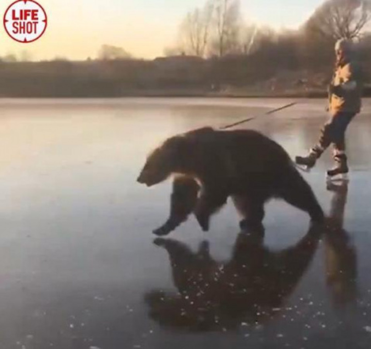 кадр из видео