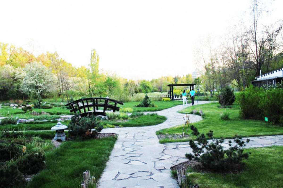 Обновленный Ботанический сад в Алматы откроют весной 2020 года