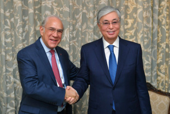 Фотография к новости: "Казахстан придает важное значение внедрению стандартов ОЭСР" - Президент Казахстана