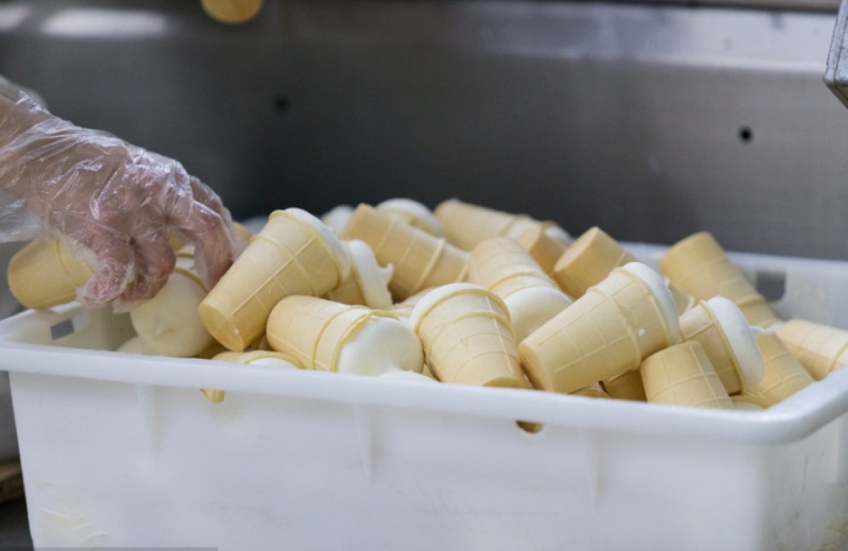 иллюстративное