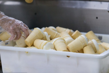 Фотография к новости: Россельхознадзор "забраковал" и вернул в Казахстан 15 тонн мороженого