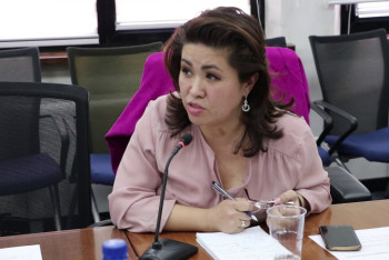 "Глава МИОР готов к диалогу" - общественница об обсуждаемом законопроекте о мирных собраниях