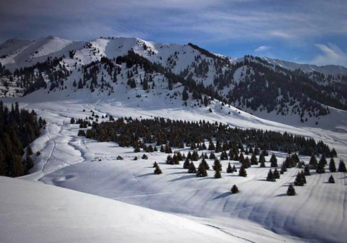 Семь лавин сошло в горах близ Алматы