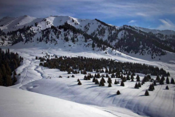 Фотография к новости: Семь лавин сошло в горах близ Алматы