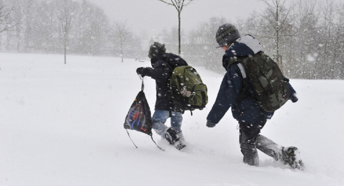 иллюстративное