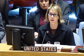 Фотография к новости: США: Астанинский формат урегулирования ситуации в Сирии неэффективен