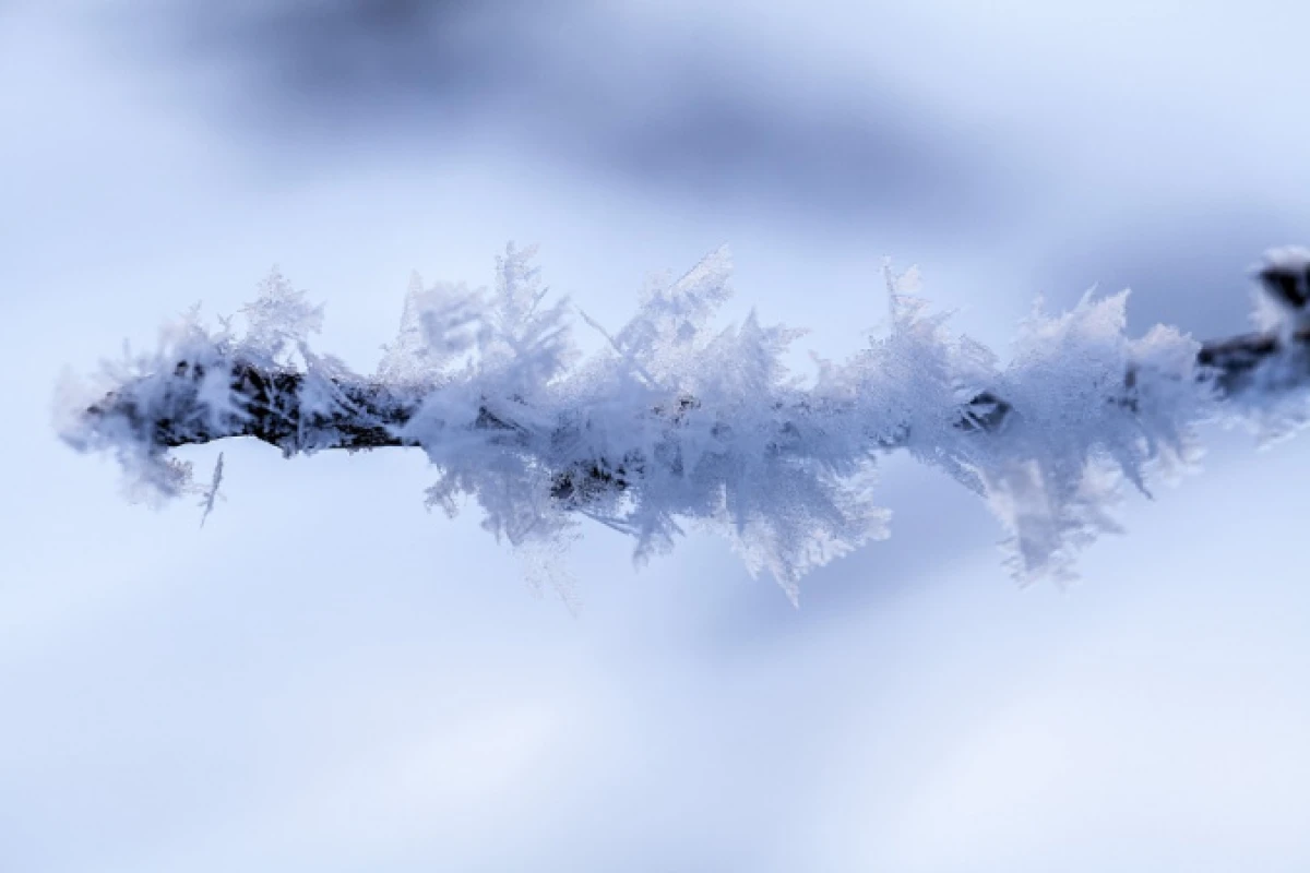 Иллюстративное: pixabay
