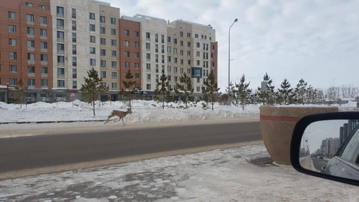 Facebook / Аскар Жанапов