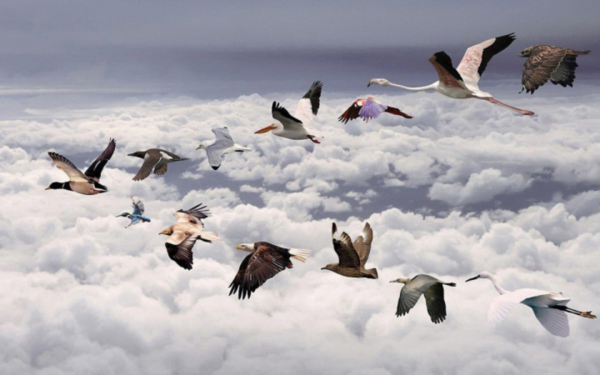 naturenews.ru