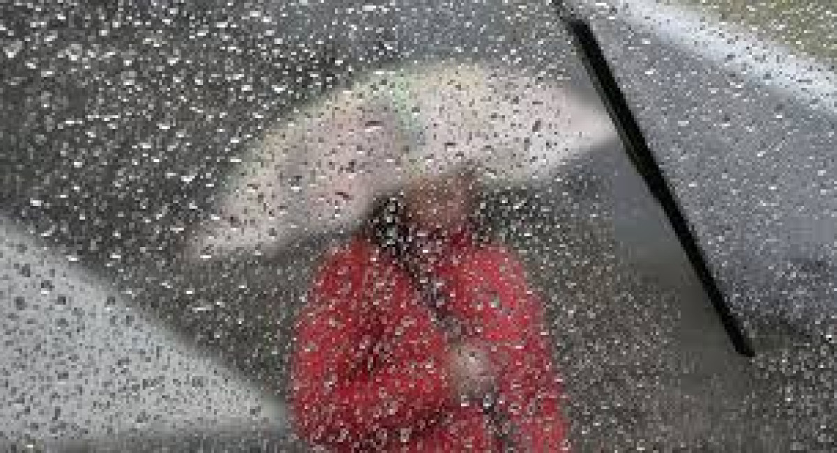 иллюстративное