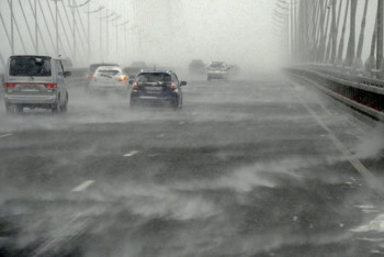 Фотография к новости: Низовую метель, туман и гололед обещают синоптики в Казахстане