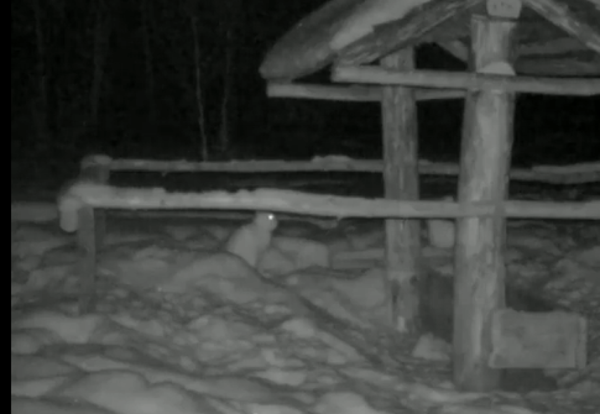 Сакен Дилдахмет, Facebook