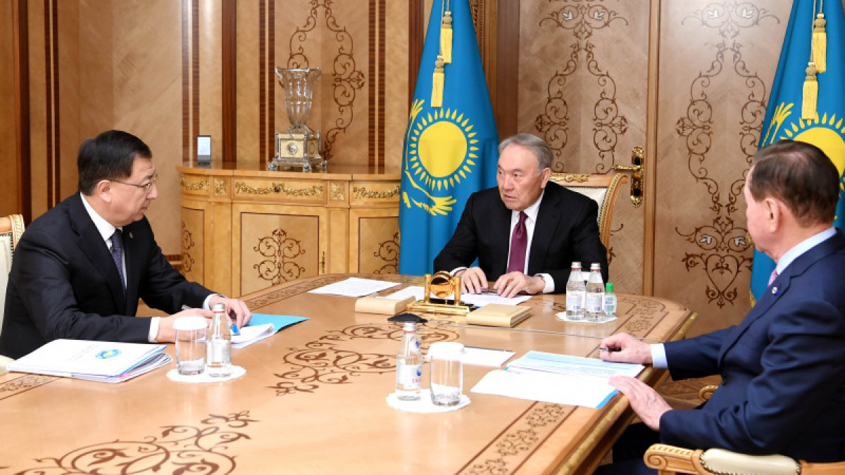 Елбасы принял заместителя председателя АНК