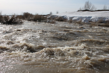 Фотография к новости: Масштабные наводнения ожидают в середине марта в Казахстане