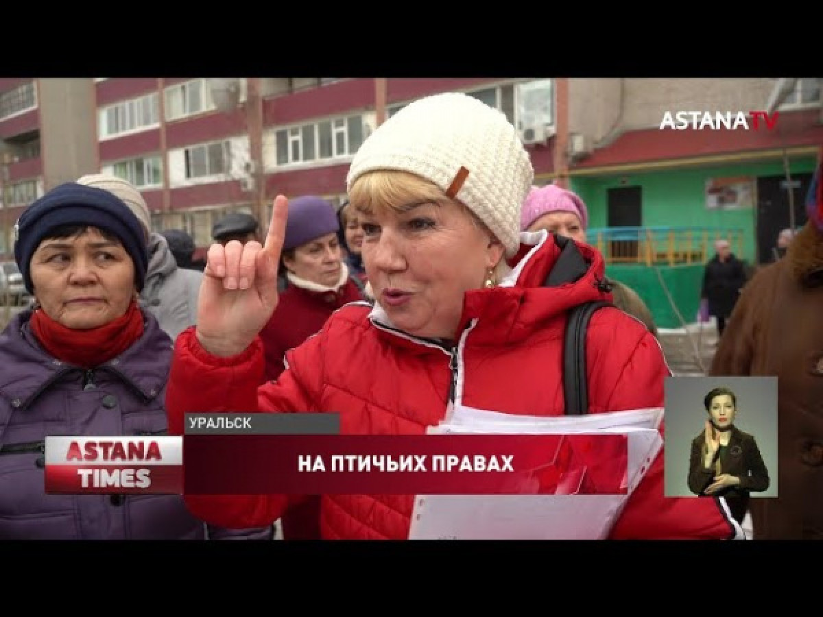 кадр из видео