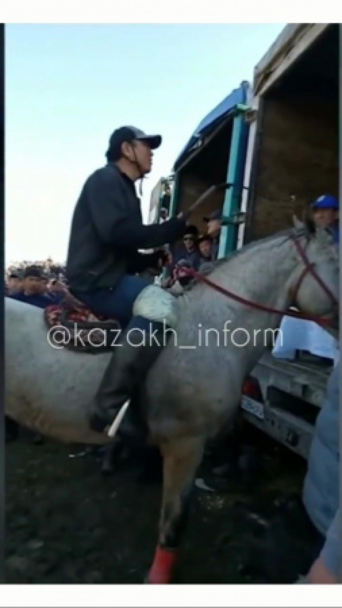 Видео массовой "разборки" на лошадях появилось в Сети