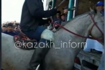 Фотография к новости: Видео массовой "разборки" на лошадях появилось в Сети