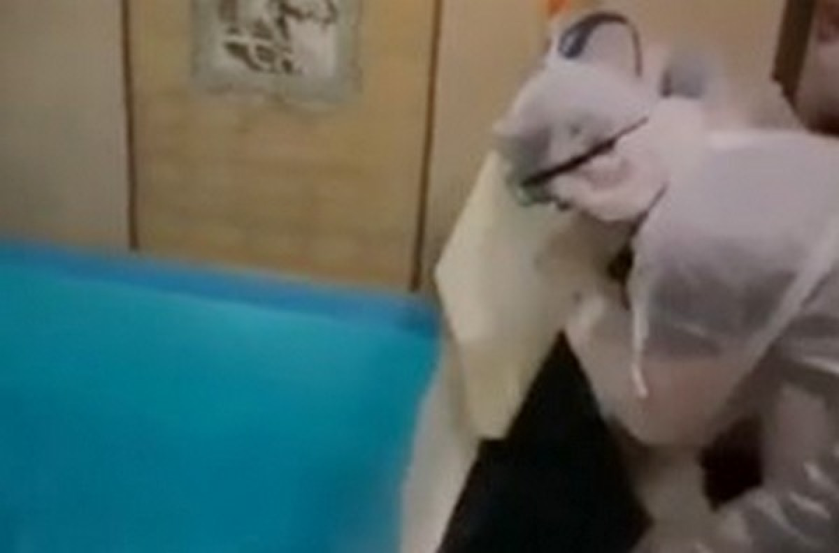 Появилось видео момента трагедии на вечеринке с сухим льдом, где погибли люди