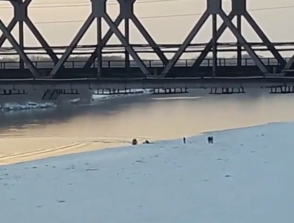 Спрыгнувшего с моста в Иртыш мужчину успели спасти в Павлодаре
