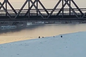 Фотография к новости: Спрыгнувшего с моста в Иртыш мужчину успели спасти в Павлодаре