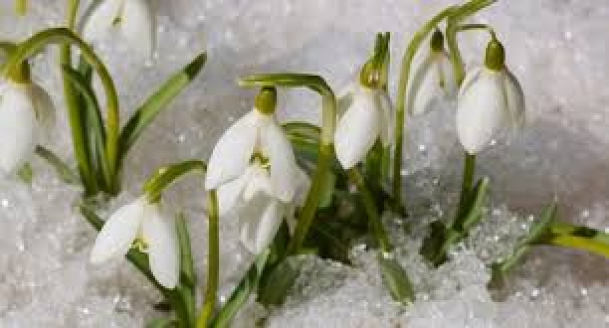 Туман, гололед и метель ожидаются в Казахстане 1 марта